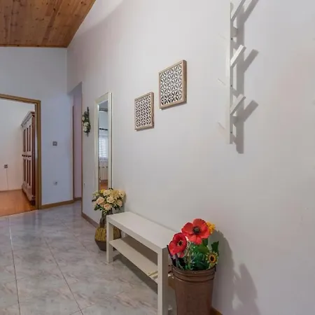 In With Terrace, Air Conditioning, Wifi, Washing Machine Porec